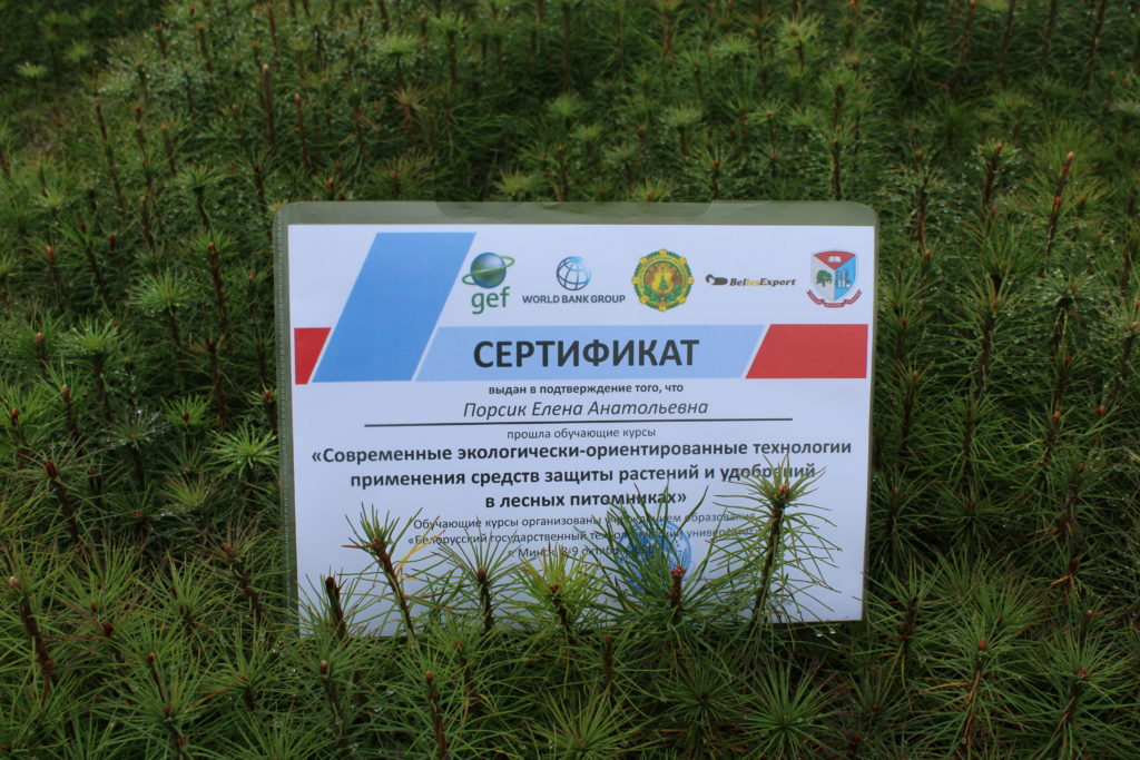 Итоги семинара «Современные экологически-ориентированные технологии применения средств защиты растений и удобрений в лесопитомниках»